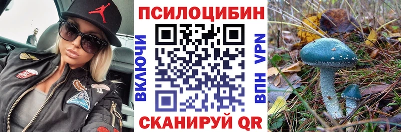 Галлюциногенные грибы Psilocybe  Сим 